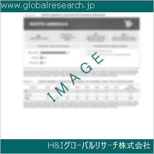 グローバルリサーチ調査資料のイメージ